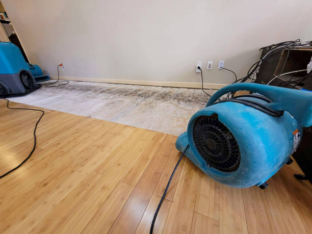 Professional Sewage Cleanup technician working in Harvey, MI